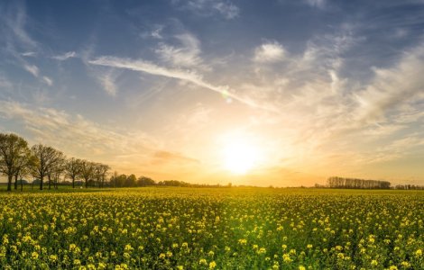 Vremea pana la sfarsitul lunii iunie: Temperaturi de peste 30 de grade, dar si perioade de instabilitate accentuata