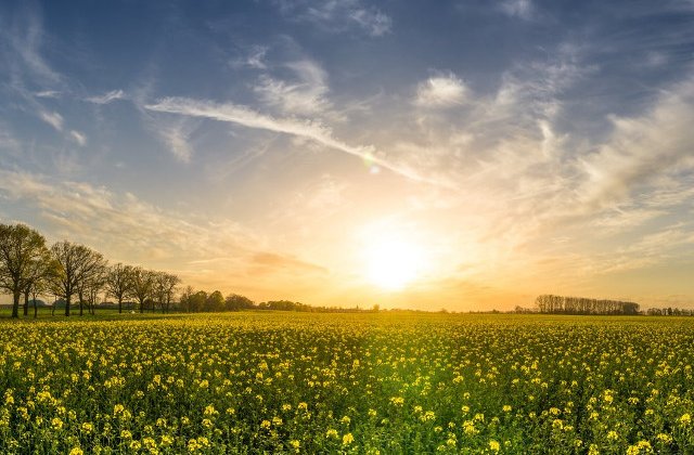 Vremea pana la sfarsitul lunii iunie: Temperaturi de peste 30 de grade, dar si perioade de instabilitate accentuata