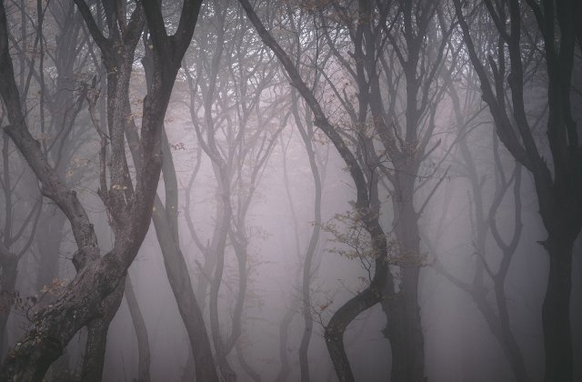 O zona din Romania, in topul celor mai infricosatoare locuri din lume