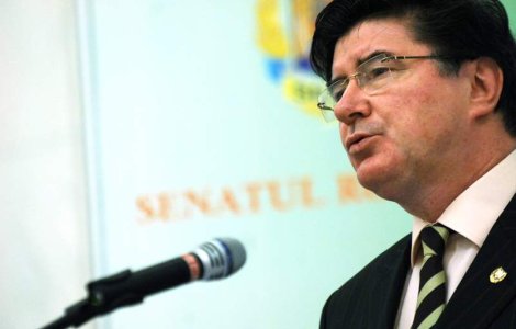 Chelaru: Alegerile parlamentare ar putea avea loc pe 28 octombrie