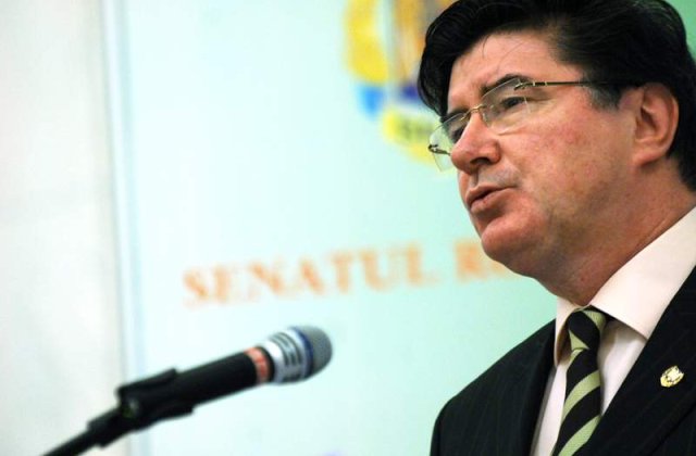 Chelaru: Alegerile parlamentare ar putea avea loc pe 28 octombrie