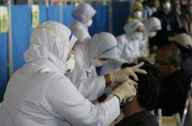 OMS si FAO, in 'stare de alerta maxima' din cauza gripei porcine