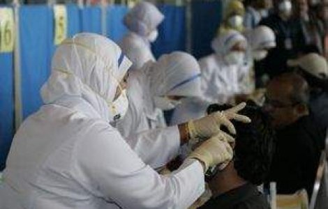 OMS si FAO, in 'stare de alerta maxima' din cauza gripei porcine