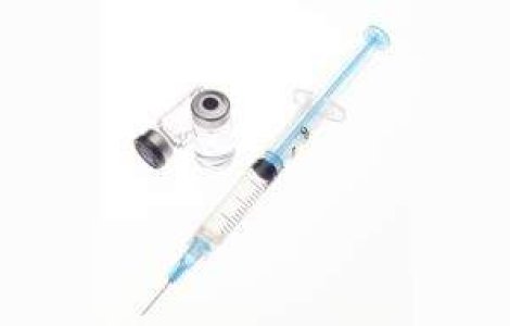 Romania ar putea avea un vaccin impotriva gripei porcine in opt luni