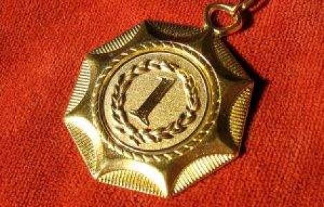 Judetele de elita: Unde sunt cei mai multi olimpici internationali?