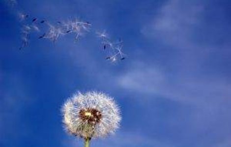 Meteo: Cand scapam de canicula?