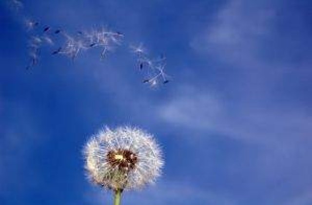 Meteo: Cand scapam de canicula?