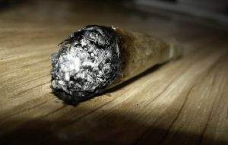 Marijuana va fi legalizata in Uruguay