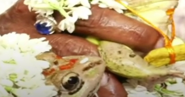 Broaste casatorite in cadrul unei ceremonii inedite in India