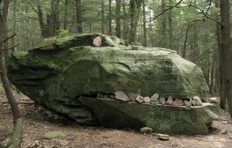  Top  Aventura, natura si mister: 15+ cele mai ciudate lucruri gasite de oameni in padure