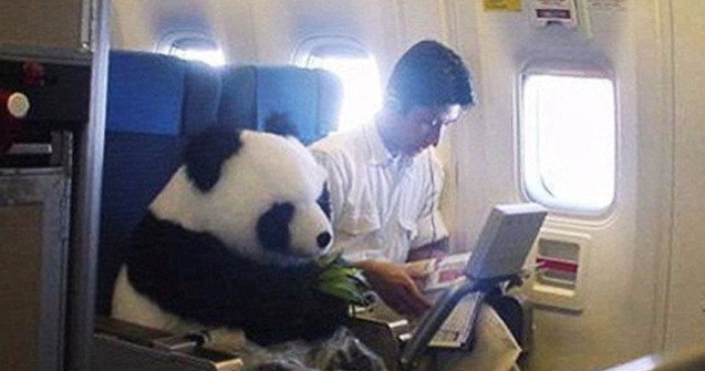  Top  10 cele mai bizare (si amuzante) intamplari din avion, in imagini de-a dreptul hilare