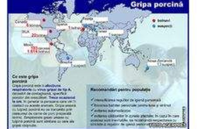 Cat de grava este si cat de grava poate deveni gripa porcina