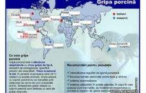 Cat de grava este si cat de grava poate deveni gripa porcina