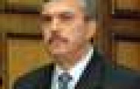 Ministrul Internelor va infiinta politia locala, cu atributii in domeniul ordinii si circulatiei rutiere