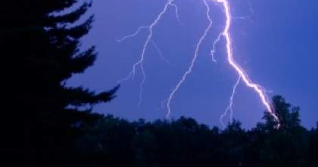 Cod galben de FURTUNI