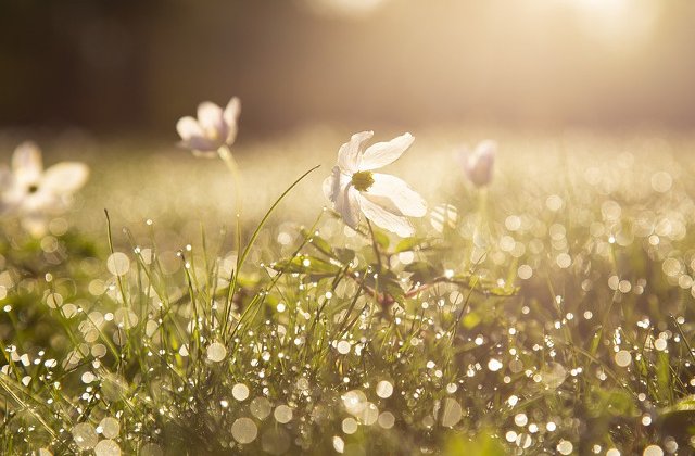 Prognoza meteo pana pe 7 iulie. Vreme calduroasa, dar instabila