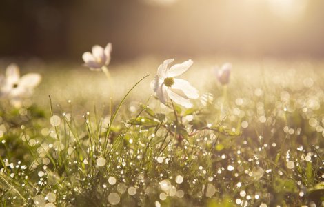 Prognoza meteo pana pe 7 iulie. Vreme calduroasa, dar instabila