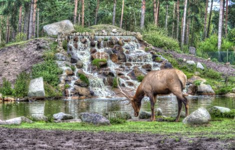 Parcul National Serengeti, ideal pentru excursii de tip safari/ FOTO