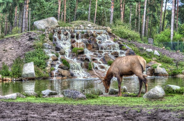 Parcul National Serengeti, ideal pentru excursii de tip safari/ FOTO
