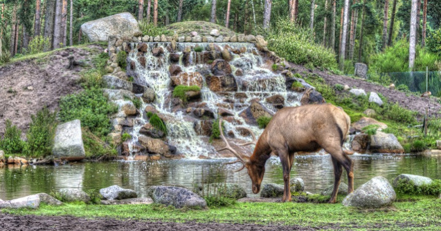 Parcul National Serengeti, ideal pentru excursii de tip safari/ FOTO