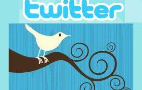 Nielsen: Majoritatea utilizatorilor Twitter parasesc site-ul dupa o luna