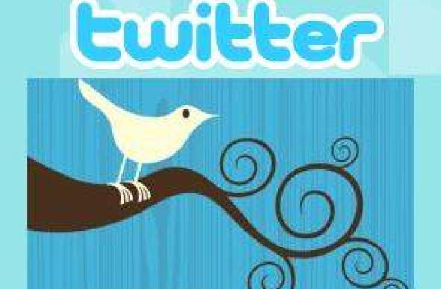 Nielsen: Majoritatea utilizatorilor Twitter parasesc site-ul dupa o luna