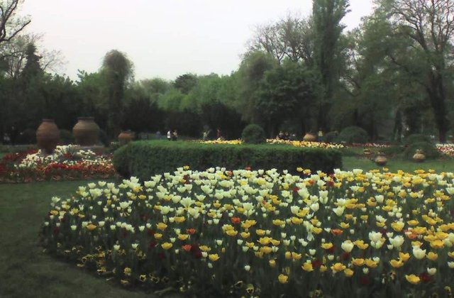 Consilierii generali ai Capitalei au respins proiectul 'turnurilor' de langa parcul Cismigiu