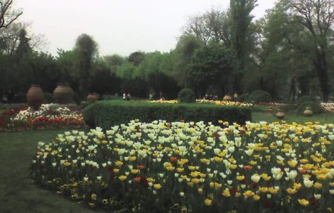 Consilierii generali ai Capitalei au respins proiectul 'turnurilor' de langa parcul Cismigiu