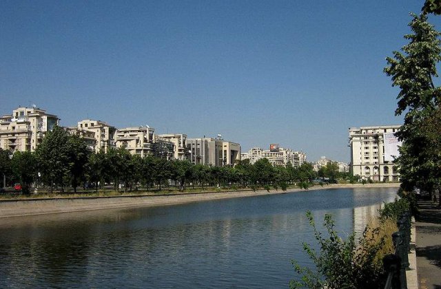 Un tanar s-a inecat in Dambovita