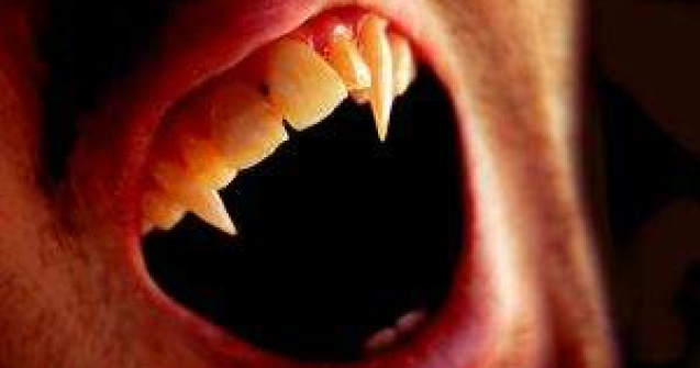  Top  Cei mai faimosi vanatori de vampiri