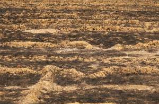 Noi incendii de vegetatie in Colorado