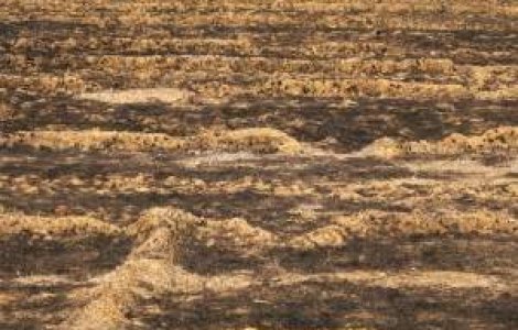 Noi incendii de vegetatie in Colorado