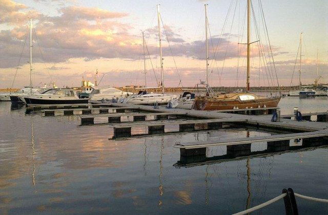 Mangalia a ales un primar independent