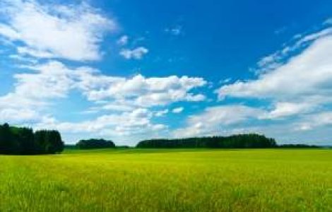 Meteo: Vara se "imblanzeste"