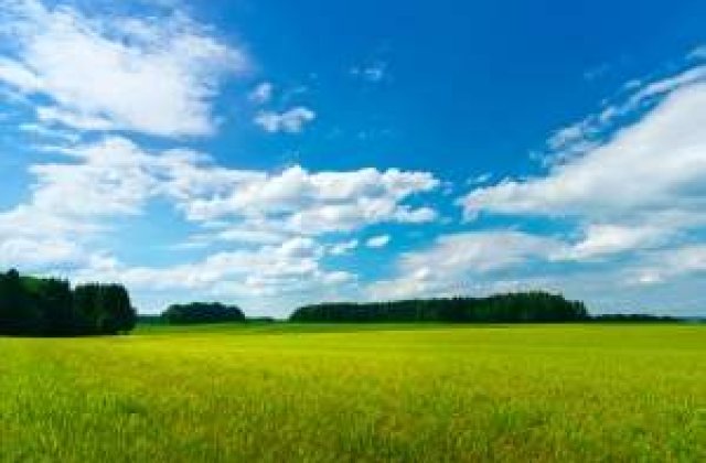 Meteo: Vara se "imblanzeste"