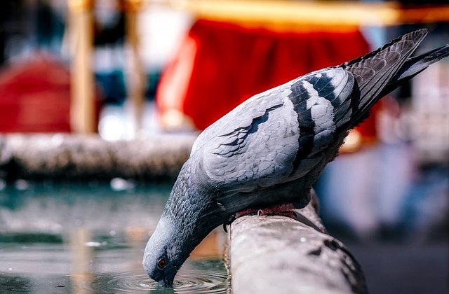 Vreme caniculara in Bucuresti, joi. De vineri, temperaturile sunt in scadere