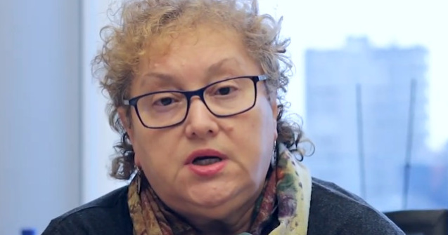 Weber: Institutia Avocatului Poporului a fost politizata din momentul in care a aparut posibilitatea de a ataca la CCR legile si ordonantele