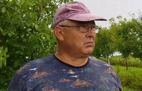 Un fermier dintr-un sat din Suceava da gratis 3 tone de fructe de padure, dupa ce a refuzat sa le vanda la un "pret oferit in bataie de joc"