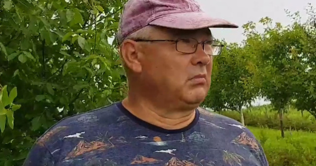 Un fermier dintr-un sat din Suceava da gratis 3 tone de fructe de padure, dupa ce a refuzat sa le vanda la un "pret oferit in bataie de joc"