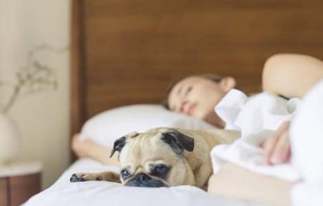  Top  10 trucuri pentru a reusi sa te odihnesti pe canicula