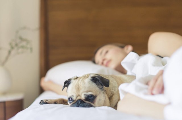 10 trucuri pe care sa le pui in aplicare pentru a reusi sa te odihnesti pe canicula