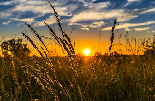 Anul 2019 ar putea fi unul dintre cei mai caldurosi din toate timpurile