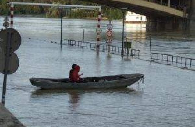 Rovana Plumb: Hartile de hazard la inundatii vor fi gata anul acesta