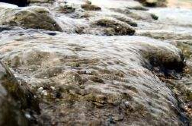 Alunecari de teren in Bangladesh: Peste 50 de morti