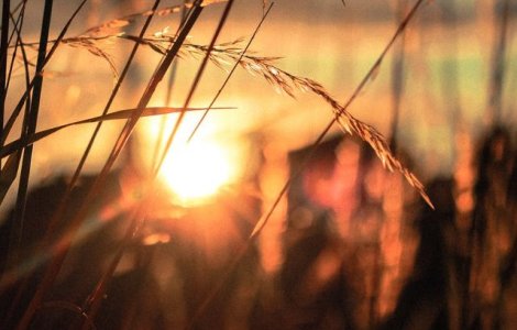 Luna iulie, caracterizata de temperaturi mai mari si grad de instabilitate redus in toata tara