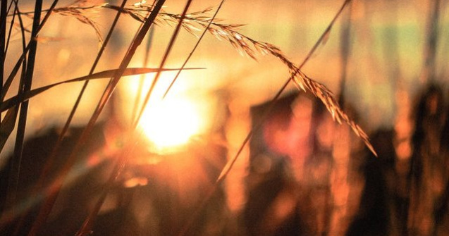 Luna iulie, caracterizata de temperaturi mai mari si grad de instabilitate redus in toata tara