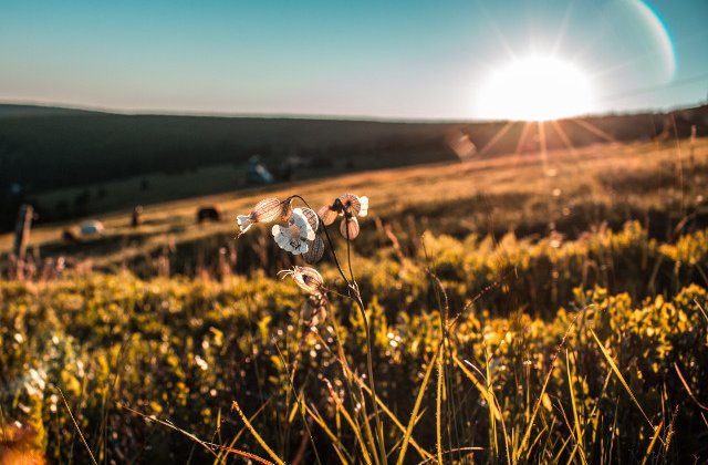Prognoza meteo pe 2 saptamani: Vreme caniculara, cu perioade de instabilitate atmosferica