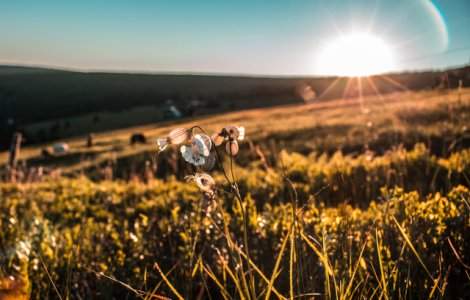 Prognoza meteo pe 2 saptamani: Vreme caniculara, cu perioade de instabilitate atmosferica