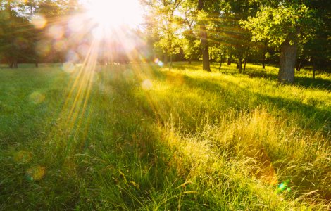 20 de containere anticanicula, amplasate in cele mai aglomerate zone din Capitala