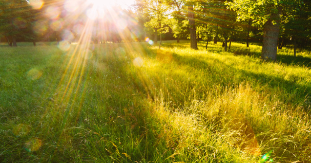 20 de containere anticanicula, amplasate in cele mai aglomerate zone din Capitala